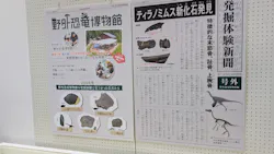 福井県立恐竜博物館に投稿された画像(2026/7/17)