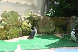 アドベンチャーワールドに投稿された画像(2026/7/17)