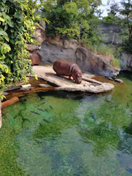 天王寺動物園に投稿された画像(2026/7/18)