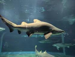 アクアワールド茨城県大洗水族館に投稿された画像(2026/7/18)