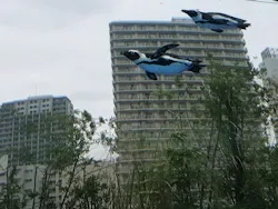 サンシャイン水族館に投稿された画像(2026/7/18)