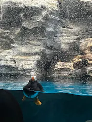 アクアワールド茨城県大洗水族館に投稿された画像(2026/7/18)