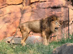 天王寺動物園に投稿された画像(2026/7/18)