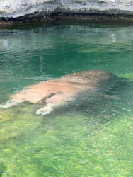 天王寺動物園に投稿された画像(2026/7/18)