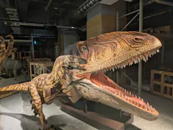 福井県立恐竜博物館に投稿された画像(2026/7/18)