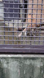 宇都宮動物園に投稿された画像(2026/7/18)