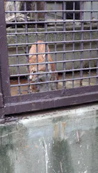 宇都宮動物園に投稿された画像(2026/7/18)