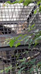宇都宮動物園に投稿された画像(2026/7/18)