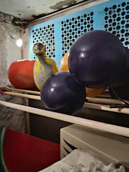 ひらかたパークに投稿された画像(2026/7/18)