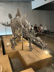 福井県立恐竜博物館に投稿された画像(2026/7/18)