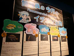 沖縄美ら海水族館に投稿された画像(2026/7/18)