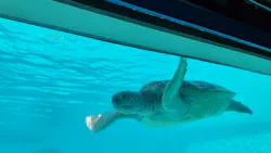 沖縄美ら海水族館に投稿された画像(2026/7/18)