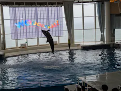 アクアワールド茨城県大洗水族館に投稿された画像(2026/7/19)