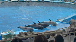 名古屋港水族館に投稿された画像(2026/7/19)