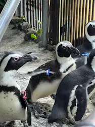 伊豆シャボテン動物公園に投稿された画像(2026/7/19)