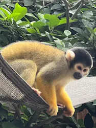 伊豆シャボテン動物公園に投稿された画像(2026/7/19)
