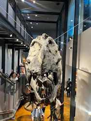 福井県立恐竜博物館に投稿された画像(2026/7/19)