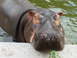 東武動物公園に投稿された画像(2026/7/19)