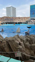 名古屋港水族館に投稿された画像(2026/7/19)
