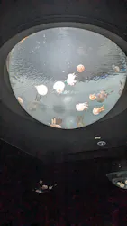 サンシャイン水族館に投稿された画像(2026/7/19)
