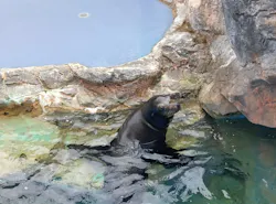 アクアワールド茨城県大洗水族館に投稿された画像(2026/7/19)