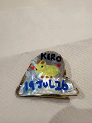 カワスイ 川崎⽔族館に投稿された画像(2026/7/19)