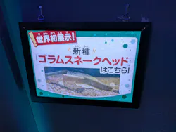 カワスイ 川崎⽔族館に投稿された画像(2026/7/19)