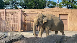 日立市かみね動物園に投稿された画像(2026/7/19)