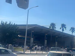 新江ノ島水族館に投稿された画像(2026/7/19)