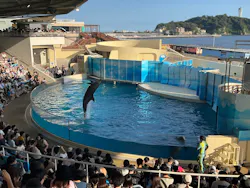新江ノ島水族館に投稿された画像(2026/7/19)