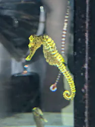 AQUARIUM × ART atoaに投稿された画像(2026/7/19)