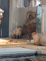 AQUARIUM × ART atoaに投稿された画像(2026/7/19)