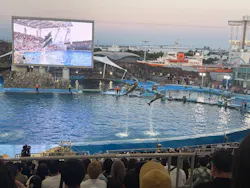 名古屋港水族館に投稿された画像(2026/7/19)