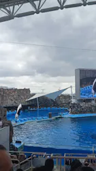 名古屋港水族館に投稿された画像(2026/7/19)