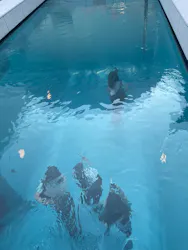 金沢21世紀美術館に投稿された画像(2026/7/19)