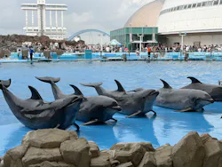名古屋港水族館に投稿された画像(2026/7/19)