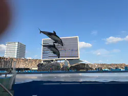 名古屋港水族館に投稿された画像(2026/7/19)