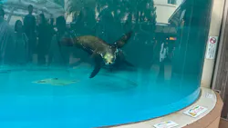 サンシャイン水族館に投稿された画像(2026/7/19)