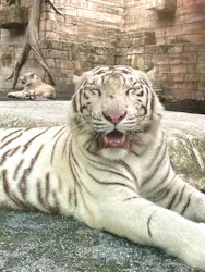 東武動物公園に投稿された画像(2026/7/19)