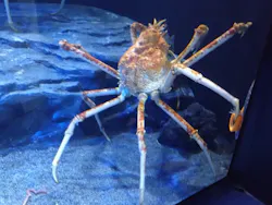 サンシャイン水族館に投稿された画像(2026/7/19)