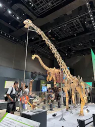 福井県立恐竜博物館に投稿された画像(2026/7/19)
