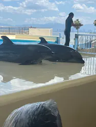 マリンワールド海の中道に投稿された画像(2026/7/19)