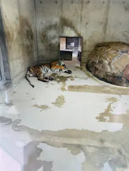 天王寺動物園に投稿された画像(2026/7/19)