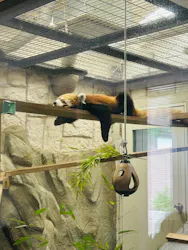 天王寺動物園に投稿された画像(2026/7/19)
