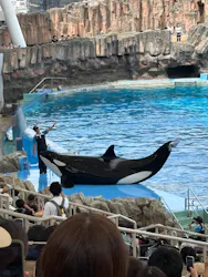 名古屋港水族館に投稿された画像(2026/7/19)