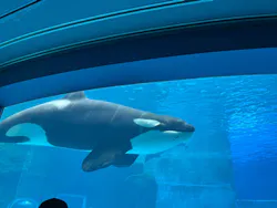 名古屋港水族館に投稿された画像(2026/7/20)
