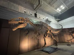ヨコハマ恐竜展2026~恐竜の食卓大図鑑~に投稿された画像(2026/7/20)