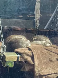 サンシャイン水族館に投稿された画像(2026/7/20)