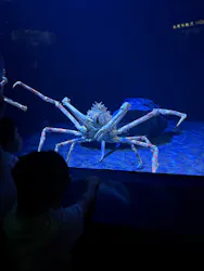 サンシャイン水族館に投稿された画像(2026/7/20)