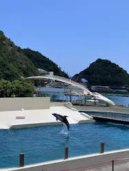 太地町立くじらの博物館に投稿された画像(2026/7/20)